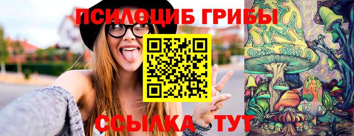 Псилоцибиновые грибы MAGIC MUSHROOMS  Вход с VPN  Городец 