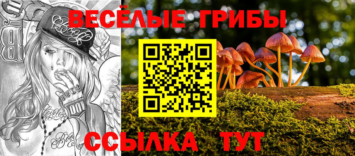 Псилоцибиновые грибы Cubensis Городец
